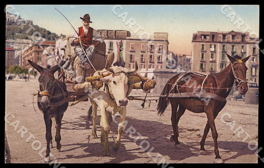 GM2212 fronte