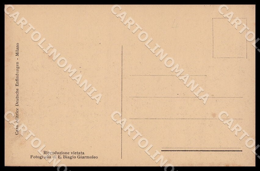 GM2446 retro