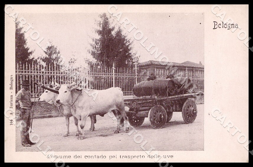 GM3276 fronte