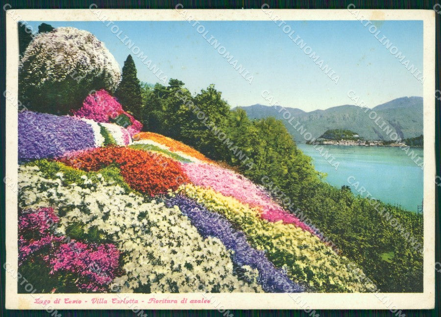 Como Lago di Villa Carlotta FG cartolina HB4534 – fronte
