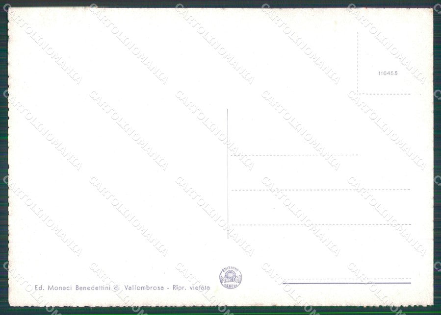 Firenze Reggello Vallombrosa FG cartolina HB4634 – retro