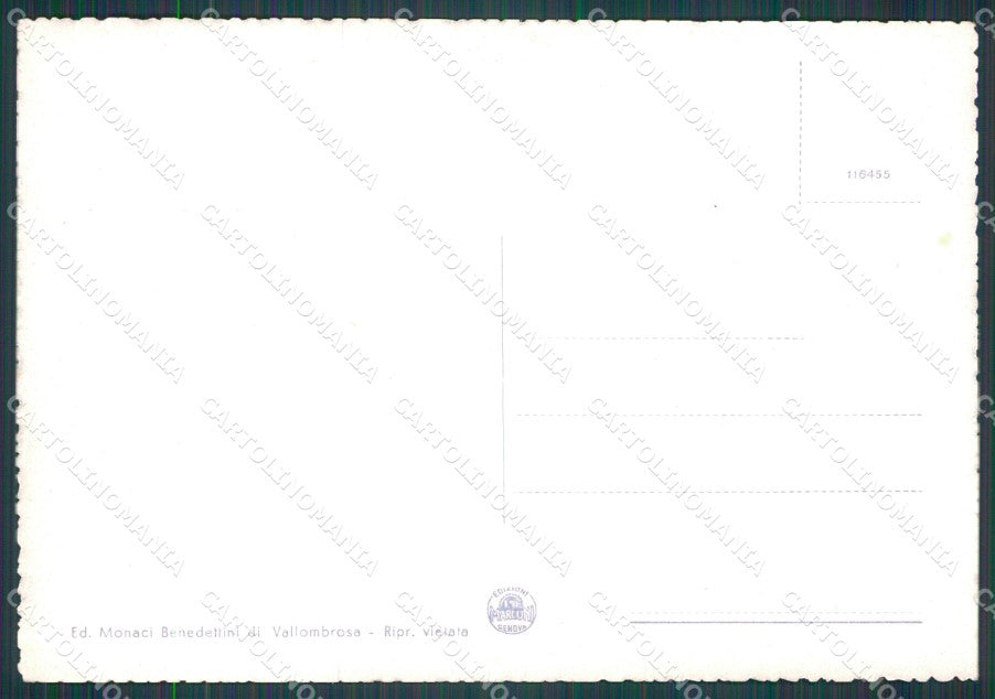 Firenze Reggello Vallombrosa FG cartolina HB4635 – retro