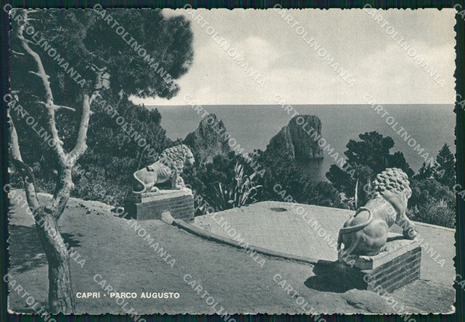 Napoli Capri Parco Augusto FG cartolina HB4667 – fronte