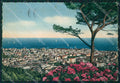 Savona Città STRAPPINI FG cartolina HB4695 – fronte