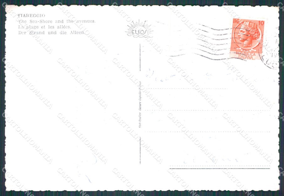 Lucca Viareggio Auto FG cartolina HB4713 – retro