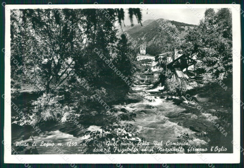 Brescia Ponte di Legno FG Foto cartolina HB4808 – fronte