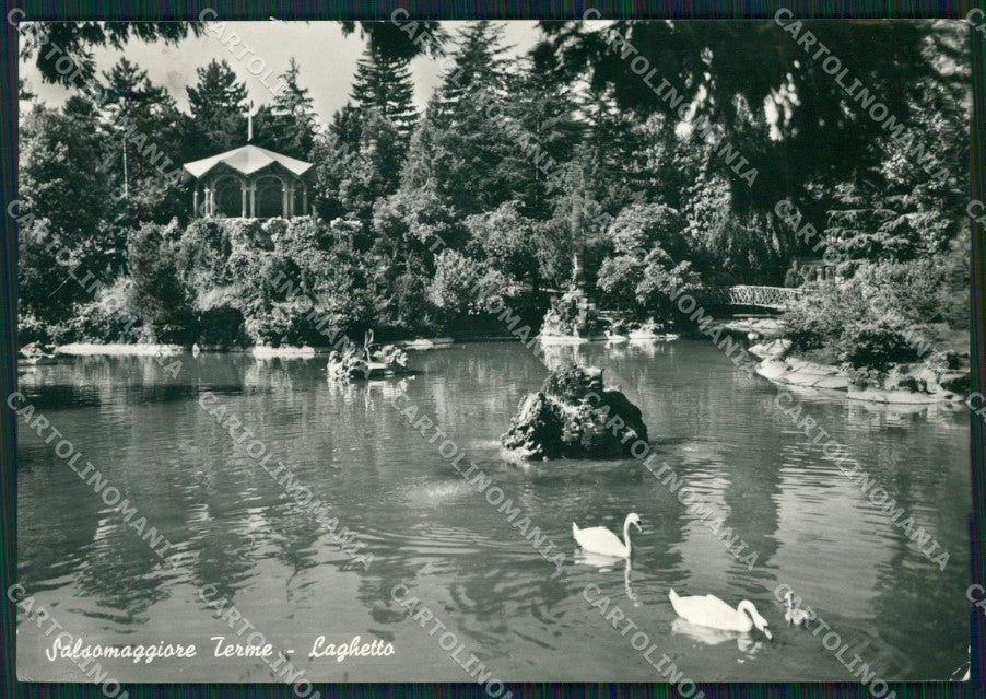 Parma Salsomaggiore Cigni FG Foto cartolina HB4818 – fronte
