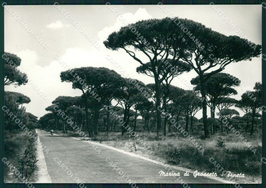 Grosseto Marina di FG Foto cartolina HB4880 – fronte