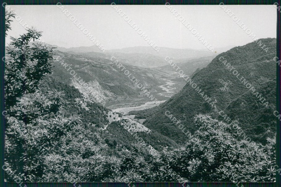 Reggio Emilia Villaminozzo Vallate Secchia Monte Carù FG Foto cartolina HB4897 – fronte