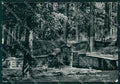 Firenze Reggello Vallombrosa Saltino Fonte degli Amori FG Foto cartolina HB4901 – fronte