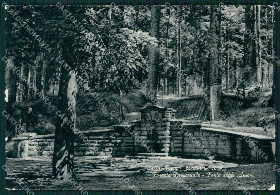 Firenze Reggello Vallombrosa Saltino Fonte degli Amori FG Foto cartolina HB4901 – fronte