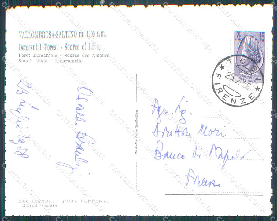 Firenze Reggello Vallombrosa Saltino Fonte degli Amori FG Foto cartolina HB4901 – retro
