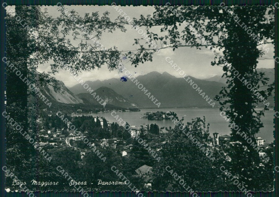 Verbania Stresa Lago Maggiore FG Foto cartolina HB5004 – fronte