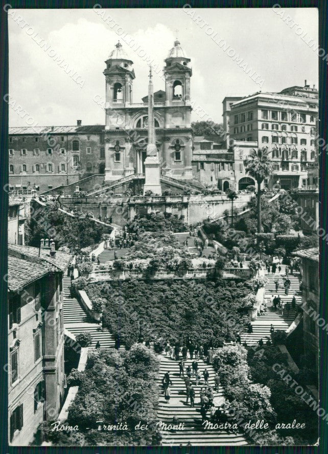 Roma Città Trinità dei Monti FG Foto cartolina HB5028 – fronte