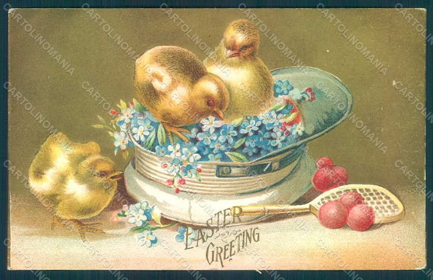 Greetings Easter Chick Myosotis Tennis postcard HR0004 – fronte