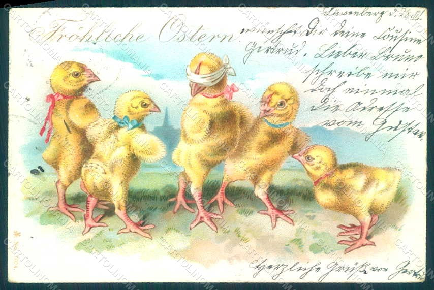 Greetings Easter Anthropomorphic Chick serie 7024 postcard HR0006 – fronte