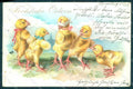 Greetings Easter Anthropomorphic Chick serie 7024 postcard HR0006 – fronte