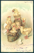 Greetings Easter Chick Shoe serie 12640 postcard HR0007 – fronte