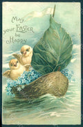 Greetings Easter Chick Myosotis CREASED postcard HR0008 – fronte