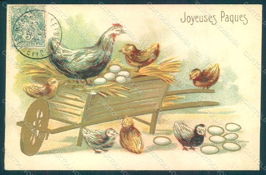Greetings Easter Chick Hen postcard HR0013 – fronte