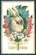 Greetings Easter Hare Rabbit Myosotis Flowers serie 414c Relief postcard HR0019 – fronte