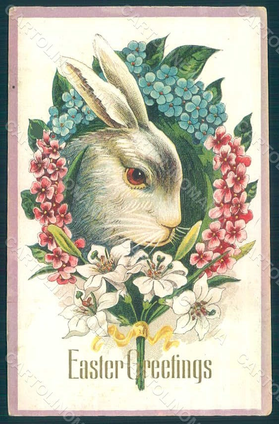 Greetings Easter Hare Rabbit Myosotis Flowers serie 414c Relief postcard HR0019 – fronte