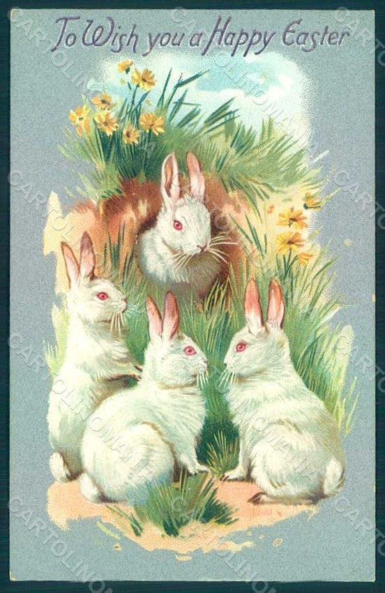 Greetings Easter Hare Rabbit Raphael Tuck 701 postcard HR0025 – fronte