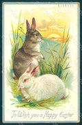 Greetings Easter Rabbit Raphael Tuck 705 Relief postcard HR0034 – fronte