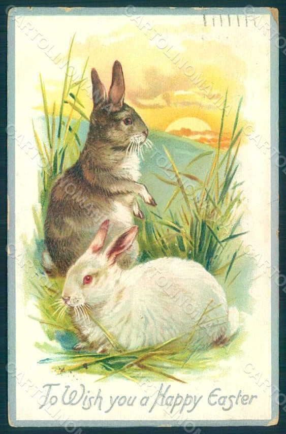 Greetings Easter Rabbit Raphael Tuck 705 Relief postcard HR0034 – fronte