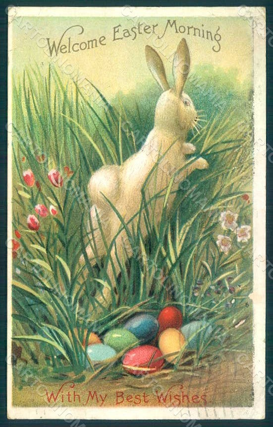 Greetings Easter Rabbit Egg Relief ABRADED CREASES postcard HR0035 – fronte