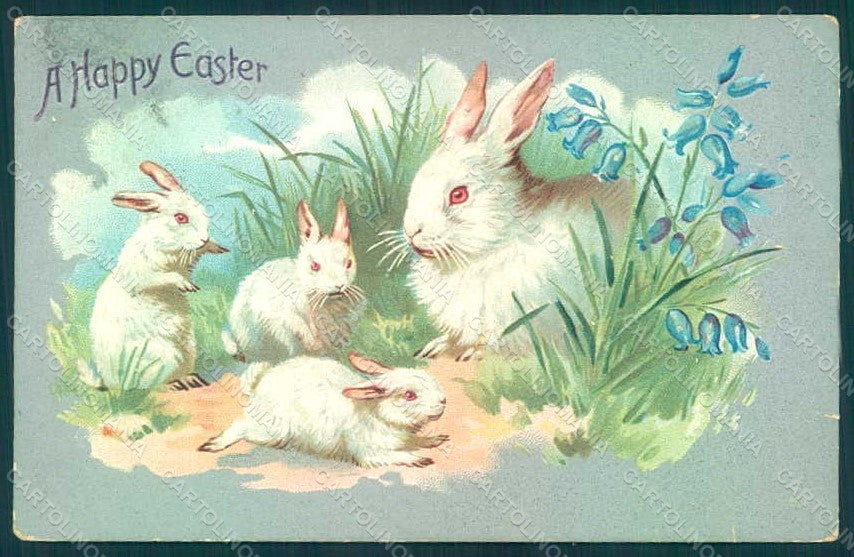 Greetings Easter Rabbit Raphael Tuck 701 Relief TEARED postcard HR0042 – fronte