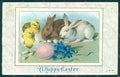 Greetings Easter Chick Rabbit serie 144 Relief postcard HR0046 – fronte