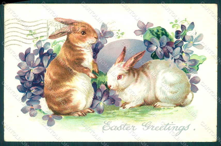 Greetings Easter Egg Violets Rabbit Raphael Tuck 111 Relief WRINKLES pc HR0052 – fronte