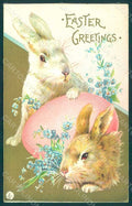 Greetings Easter Rabbit Egg Myosotis serie 217b Relief postcard HR0082 – fronte