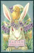 Greetings Easter Rabbit Chick Egg Violets Relief postcard HR0097 – fronte
