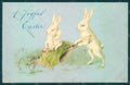 Greetings Easter Anthropomorphic Rabbit BACK ABRADED postcard HR0106 – fronte