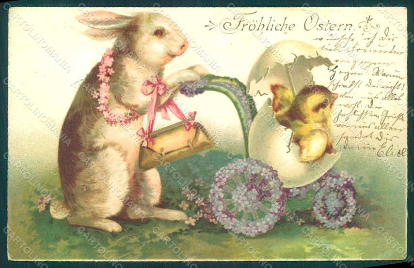 Greetings Easter Anthropomorphic Dressed Rabbit Chick Egg Violets pc HR0114 – fronte