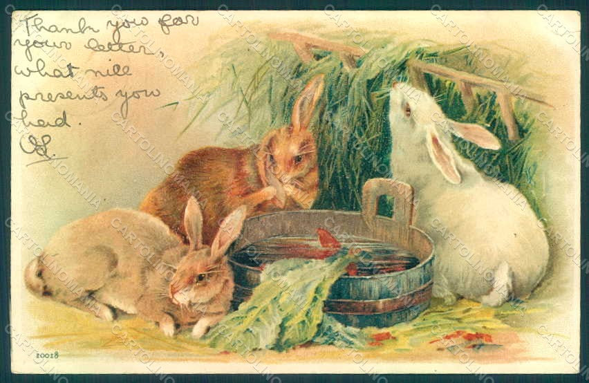 Greetings Easter Rabbit serie 10018 TEARED CORNER CREASED postcard HR0116 – fronte