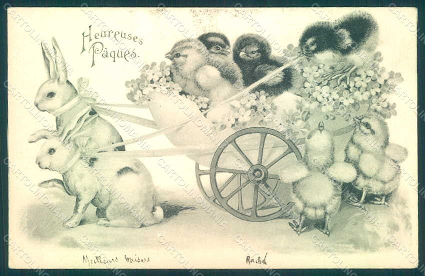 Greetings Easter Anthropomorphic Rabbit Chick postcard HR0120 – fronte