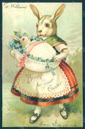 Greetings Easter Anthropomorphic Dressed Hare Rabbit Myosotis Relief pc HR0274 – fronte