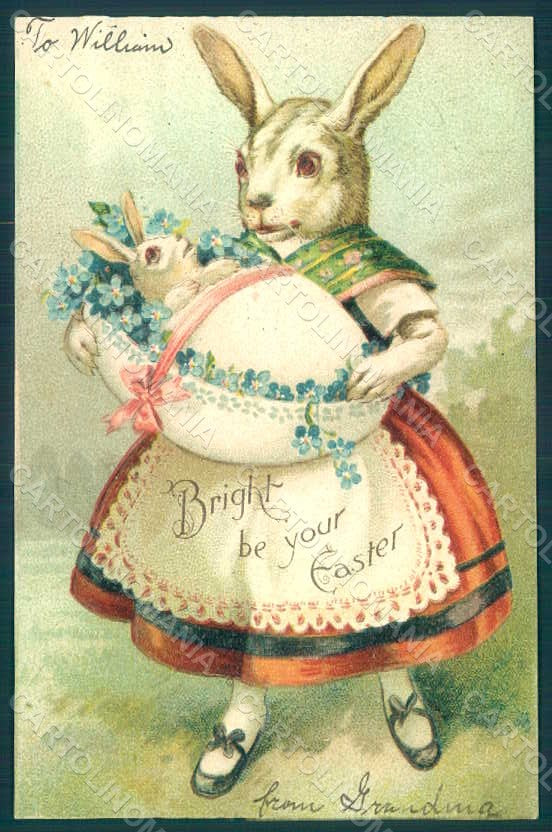 Greetings Easter Anthropomorphic Dressed Hare Rabbit Myosotis Relief pc HR0274 – fronte