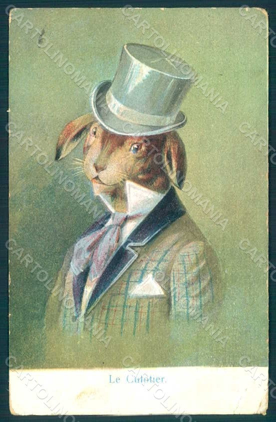 Animals Anthropomorphic Dressed Hare Rabbit WRINKLES postcard HR0328 – fronte