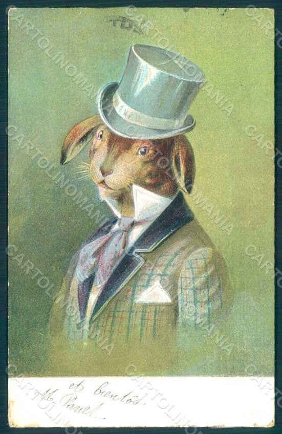 Animals Anthropomorphic Dressed Hare Rabbit CORNER CREASED postcard HR0329 – fronte