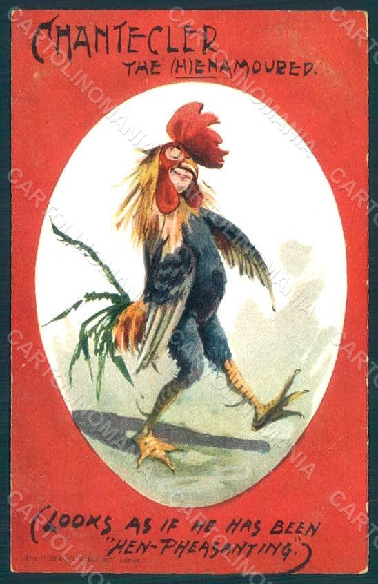 Animals Anthropomorphic Dressed Rooster Egg Comic postcard HR0365 – fronte