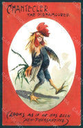 Animals Anthropomorphic Dressed Rooster Egg Comic postcard HR0365 – fronte