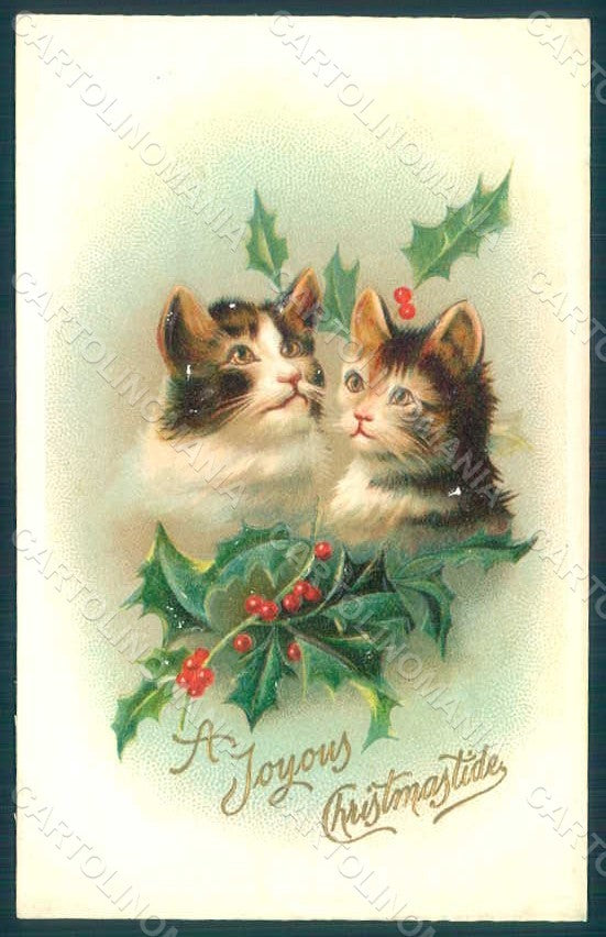 Greetings Christmas Cat Holly serie 1064 Relief postcard HR0382 – fronte