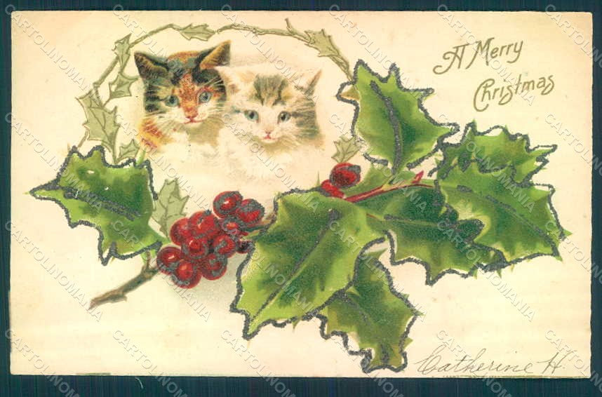 Greetings Christmas Cat Holly Relief CORNER CREASED postcard HR0383 – fronte