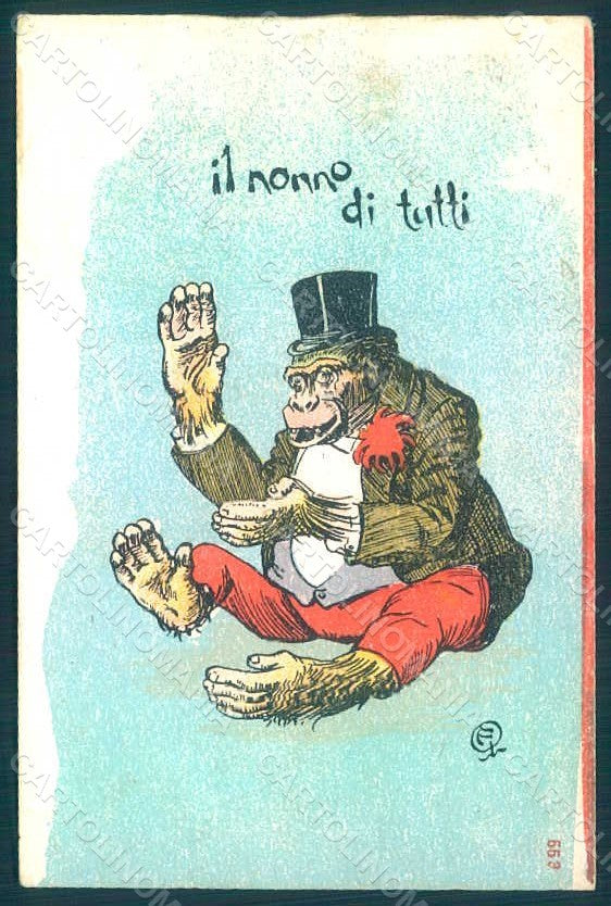 Animals Anthropomorphic Dressed Monkey Darwin Evolutionism TRIMMED pc HR0402 – fronte