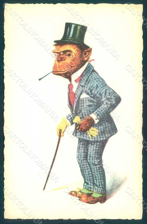 Animals Anthropomorphic Dressed Monkey serie 161-11 postcard HR0403 – fronte
