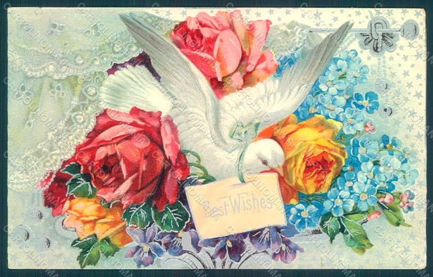 Greetings Dove Flowers Relief postcard HR0420 – fronte